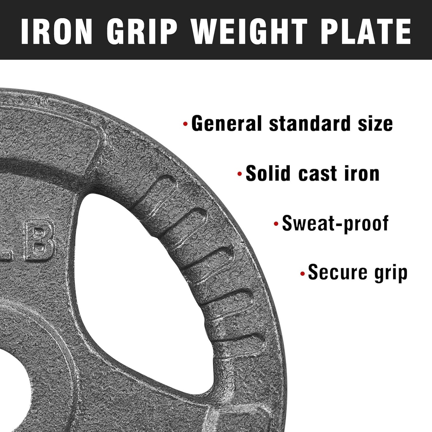 2-Inch Standard Grip Weight Plates Cast Iron Strength Training for Barbell