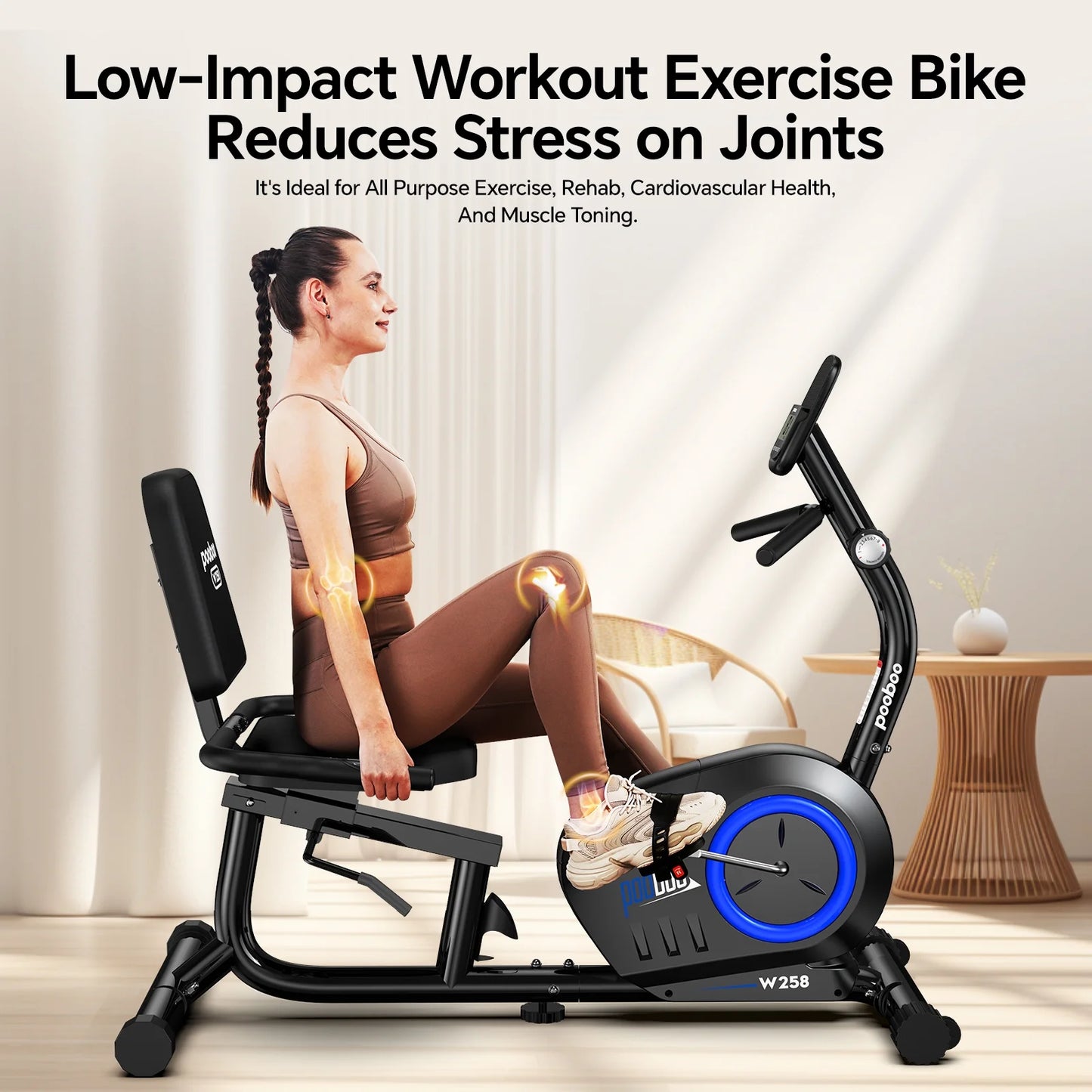 Recumbent Exercise Bikes Sit down Stationary Bicycle Magnetic Resistance Indoor Cycling Bike 380Lbs Capacity
