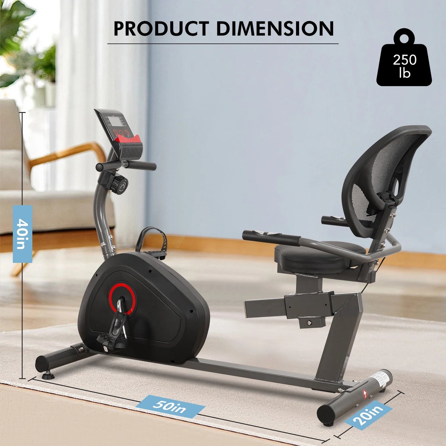 Recumbent Exercise Bike for Home Stationary Bike Sturdy Quiet 8 Levels Recumbent Bikes Large Comfortable Seat Heart Rate Handle & Ipad Holder for Gym Seniors Adults