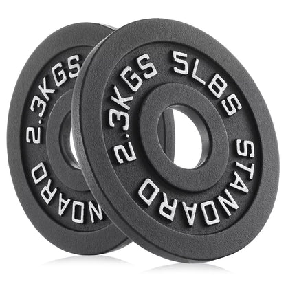 Philosophy Gym Set of 2 Cast Iron Olympic 2-Inch Weight Plates