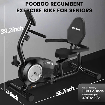Recumbent Exercise Bikes Sit down Stationary Bicycle Magnetic Resistance Indoor Cycling Bike 380Lb Silver