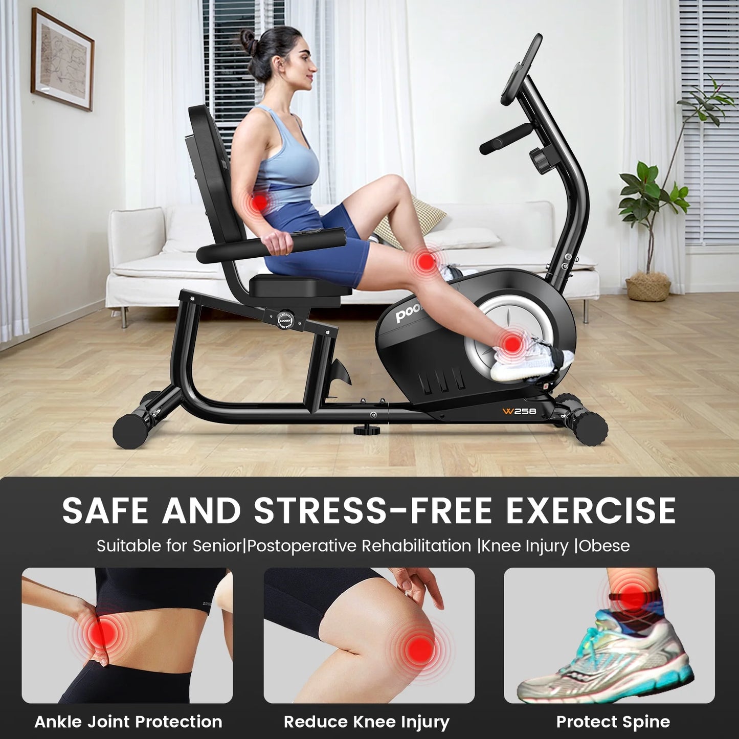 Recumbent Exercise Bikes Sit down Stationary Bicycle Magnetic Resistance Indoor Cycling Bike 380Lb Silver