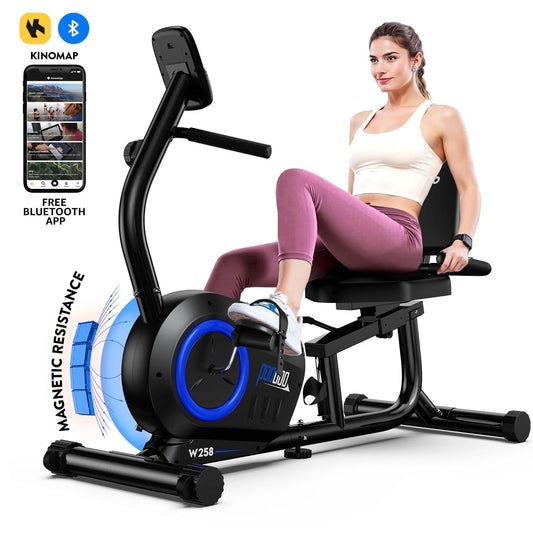 Recumbent Exercise Bikes Sit down Stationary Bicycle Magnetic Resistance Indoor Cycling Bike 380Lbs Capacity