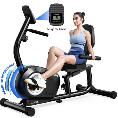 Recumbent Exercise Bikes Sit down Stationary Bicycle Magnetic Resistance Indoor Cycling Bike 380Lb Silver